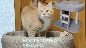 Как собрать лежанку с когтеточкой для кота. Новая лежанка с когтеточкой для кота Лютика. # кот