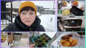 Ребра в аэрогриле.Эустома.Поломка