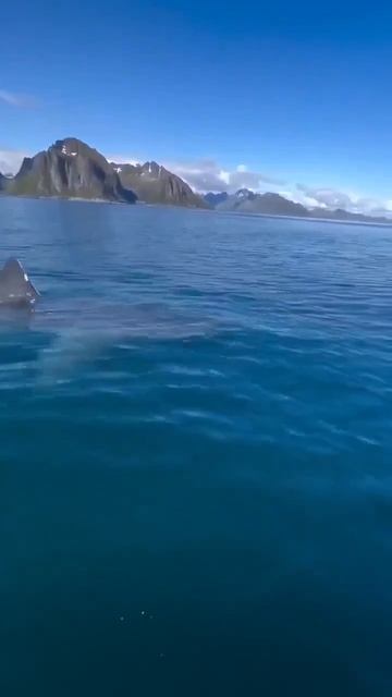 video_14110393895474.mp4