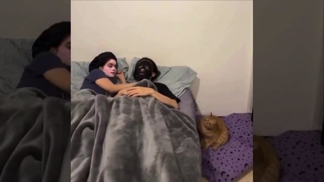 Спокойной ночи🤭