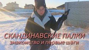 Скандинавские палки. Знакомство и первые шаги🤣