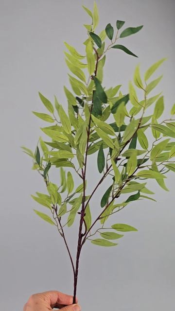 Рускус Итальянский смотреть онлайн