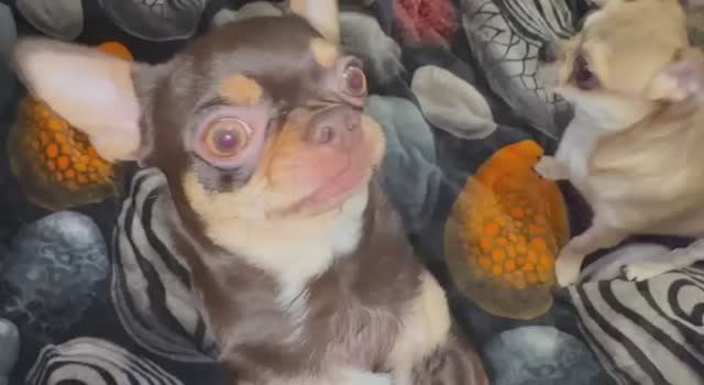 Всем наидобрейшего утречка и чудесного воскресенья.