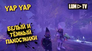 YAP YAP Кооператив ► Два Мага пакостника