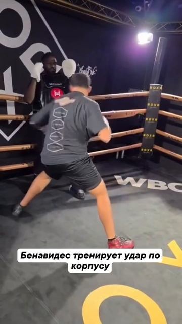 Самый жесткий удар в боксе