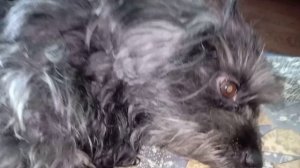 БЫВАЕТ,ЧТО Я ЧУВСТВУЮ...