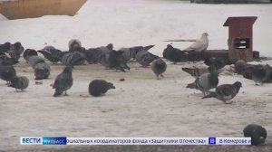 Температурные качели: в Кузбассе за сутки «плюс» сменится на -32°C