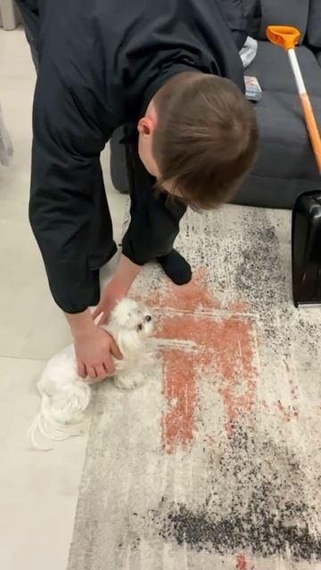 ГЛЕБ САСАВОТ И ПЁСИК