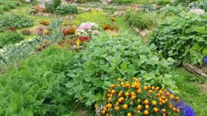 Подъём на святую Гору 18.08.24. город Солнца☀