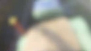 лео Эдит черепашки ниндзя