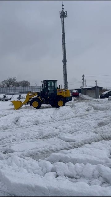 Откопали автомобиль нашего клиента, грузимся на автовоз и отправляемся на причал