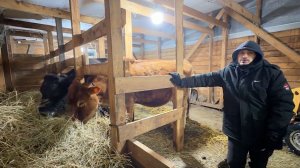 У нас получилось! Где мы живем пока делаем ремонт? Строим дом в деревне.