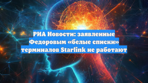 РИА Новости: заявленные Федоровым «белые списки» терминалов Starlink не работают