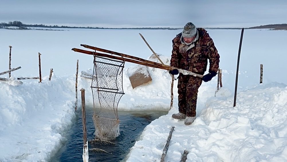 Рыбалка на фитили. Деревенский быт. Проверяю силки на куропаток смотреть онлайн