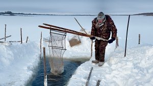 Рыбалка на фитили. Деревенский быт. Проверяю силки на куропаток