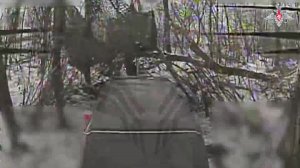 🎮 В деле специалисты Центра «Рубикон»