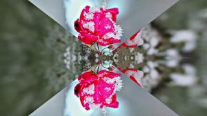 С Днём Рождения!!! Зимняя сказка для Единственной 5 от Киностудии Мудрого Кота Тимофея!