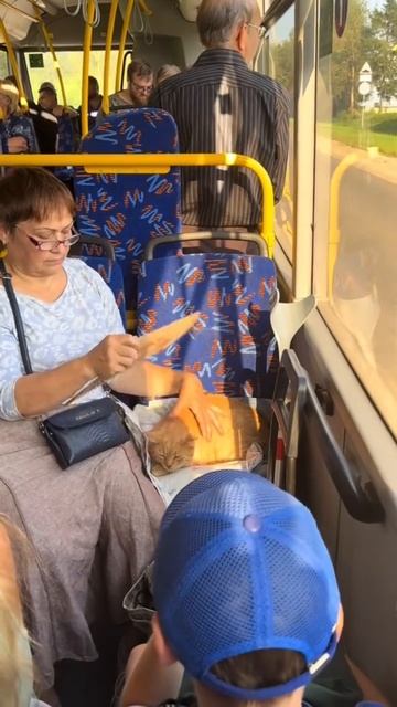 все для верховного все для верховного