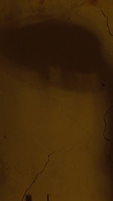 Кое-что о феях | ЛОВУШКА ДЛЯ КРОЛИКА. Премьеры с 12 февраля