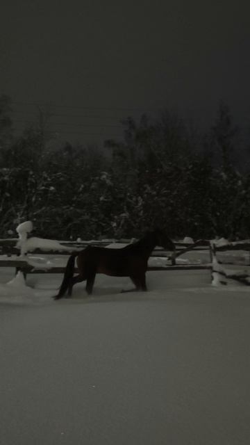 Эмбер Грейс Кас, а снег идет и идет.