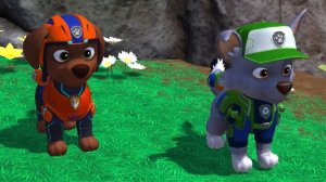 Щенячий патруль. Ч13. ВСЕ ЩЕНКИ В СБОРЕ. Райдер, Крепыш, Зума и другие. Щенячий патруль Paw Patrol.