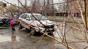 Ледяной дождь. Мои ошибки на юге. Ролик за все дни.