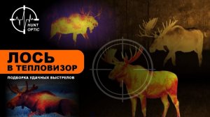 Лось в тепловизор - подборка удачных выстрелов