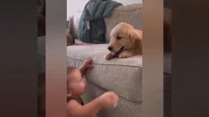 YouCut_20260206_224542215.mp4