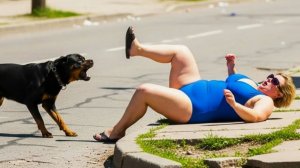 Шутники Получают по Заслугам