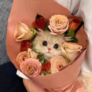 танцую под музыку