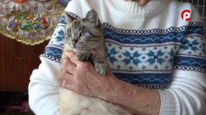 Доброе сердце 06.02.2026 «Породистый» выпуск