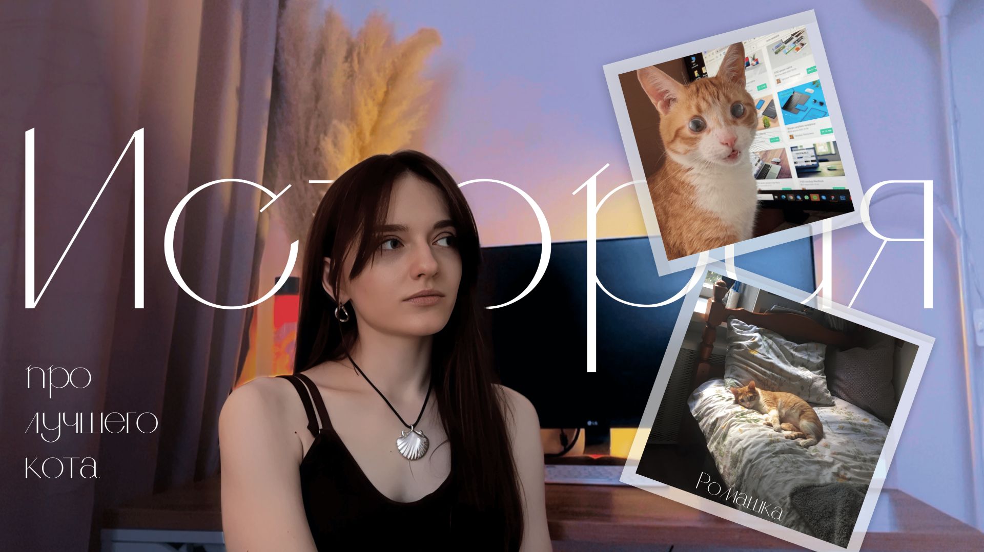 История кота Романа: синегнойная палочка и ветеринария в Москве