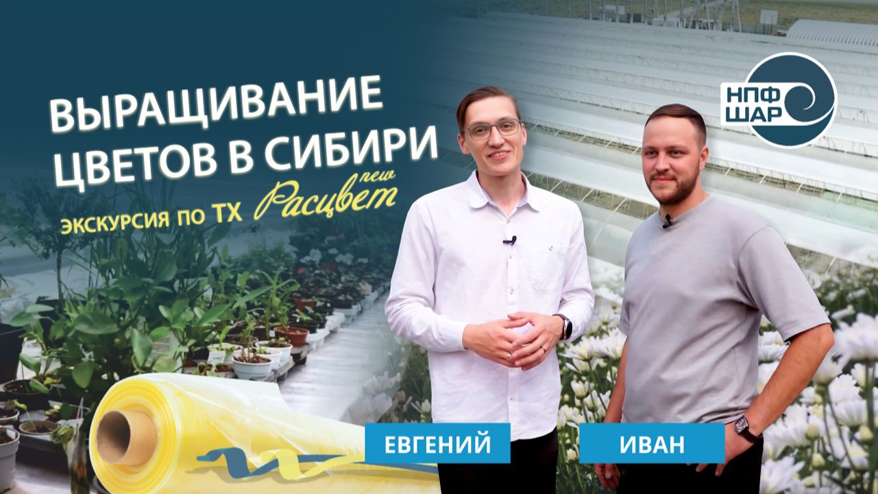 Выращивание цветов в Сибири под пленой СВЕТЛИЦА™ | Экскурсия по ТХ «РАСЦВЕТ»
