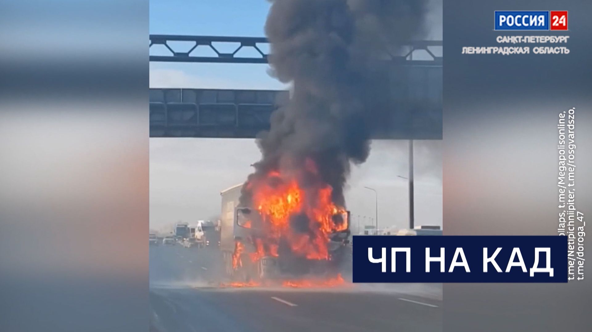 ВЕСТИ 24 Санкт-Петербург от 06.02.2026 смотреть онлайн