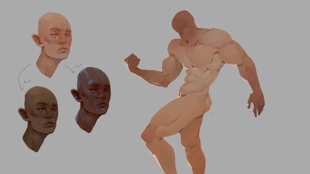 Anatomy Quick Tips Skin — Sinix Design (1080p, h264)