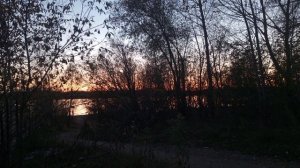 Рубрика "Мои фотографии"