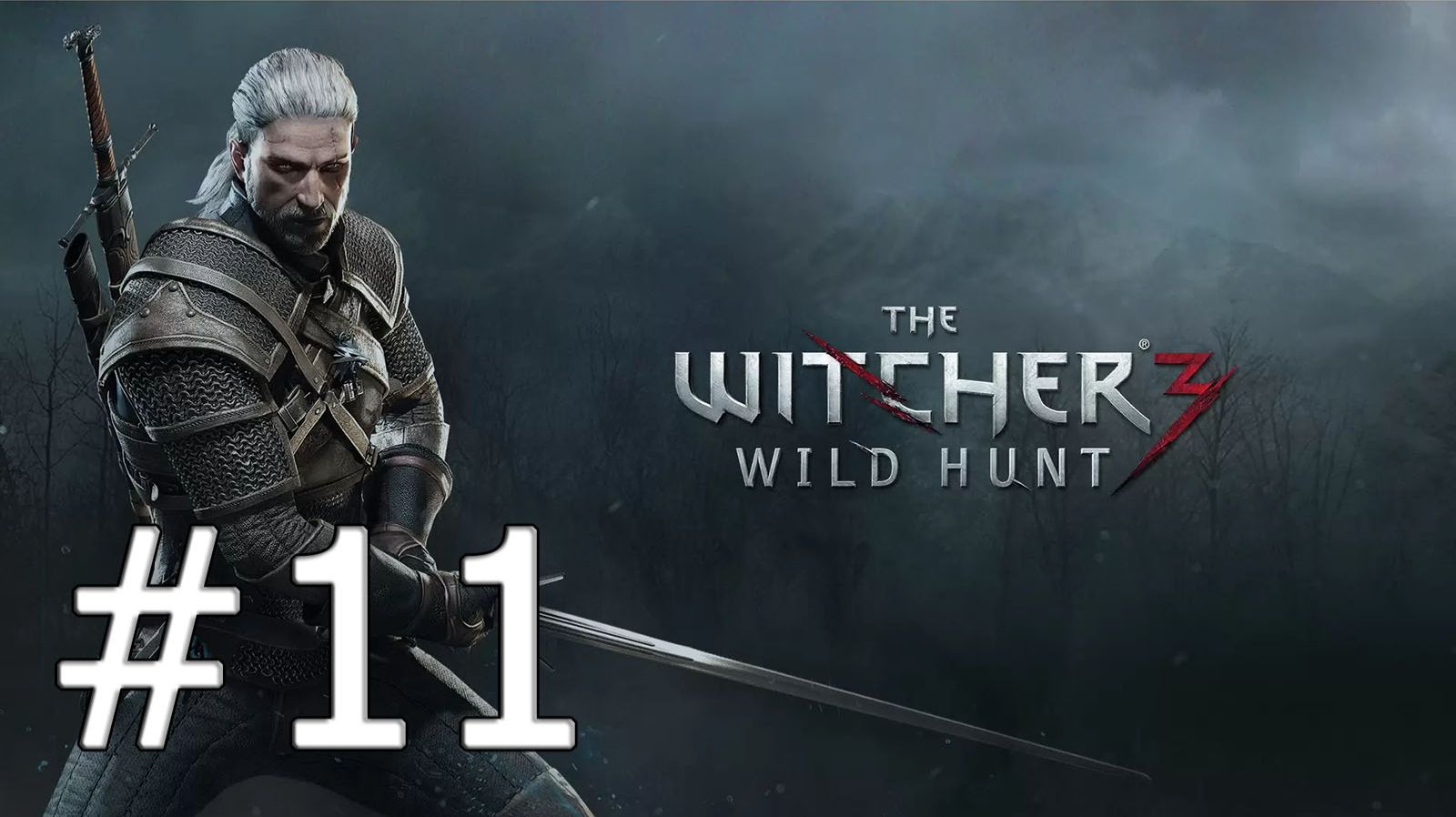 Ведьмак 3 Дикая Охота #11