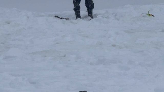 На моргалку.Форель