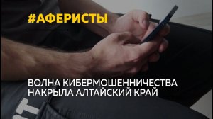 Жителей края атакуют кибераферисты: появились новые схемы обмана
