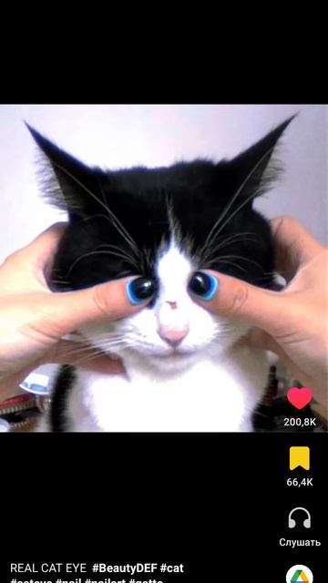 1000000597.mp4 смотреть онлайн