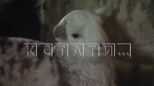 На поддержку аграриев в Нижегородской области в 2026 году будут направлены 365 миллионов рублей