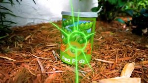 Настя ищет сюрпризы под детскую песенку