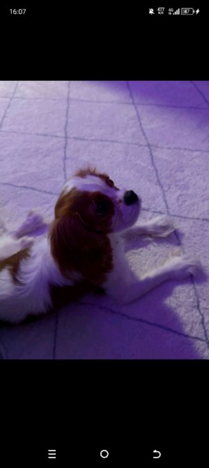 ♡Машка машуля маша ♡☆