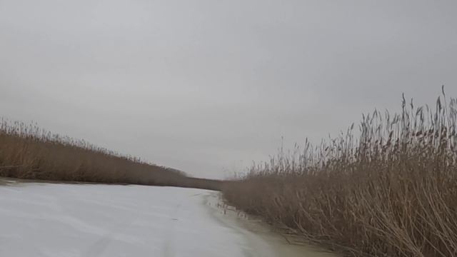 охота на кабана в камышах смотреть онлайн