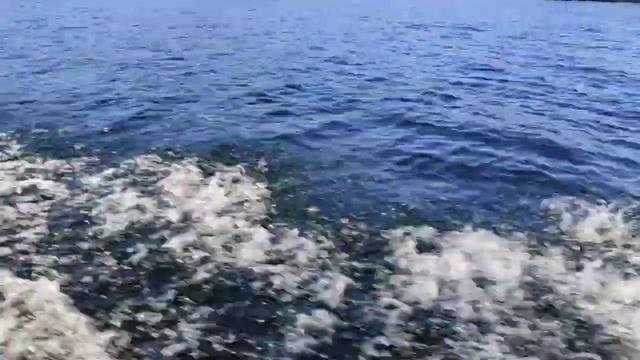 Озеро Тибиркуль, возле города ☀ 16.08.24.