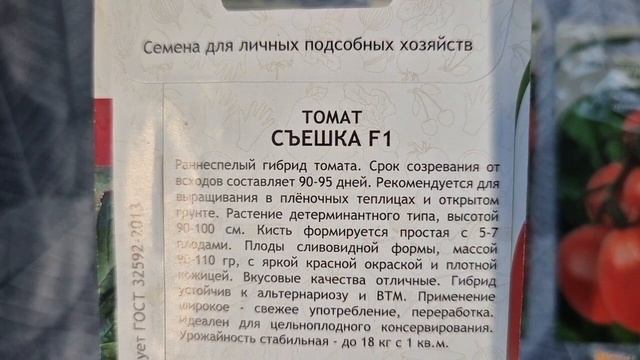 РАССАДА зачем рано сею. Эти СОРТА ТОМАТОВ не подводят Не в тренде ,зато с урожаем РАССАДА зачем рано сею. Эти СОРТА ТОМАТОВ не подводят Не в тренде ,зато с урожаем