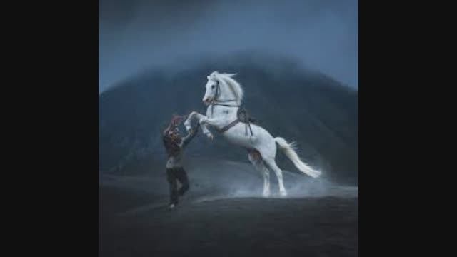 Знакомство с творчеством Dennis Hellwig смотреть онлайн