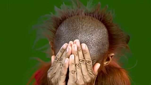 Смешная обезьянка 02_encoded