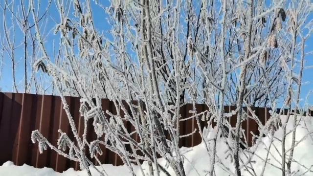 Солнечный зимний день. смотреть онлайн