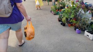 15-17.08.25. Собрали вешалка. Покрасили 4-ю стену. За покупками. На участке.